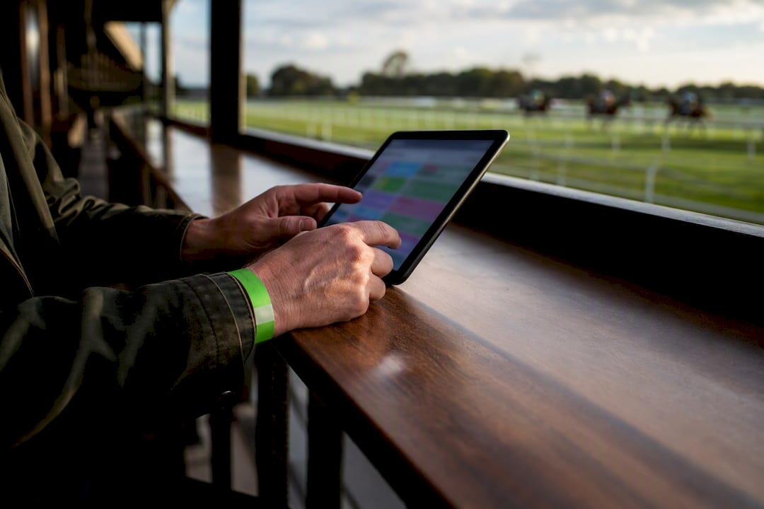 2.0–6.0 Odds Band: Cap Liability for Horse Racing Lay Predictions
