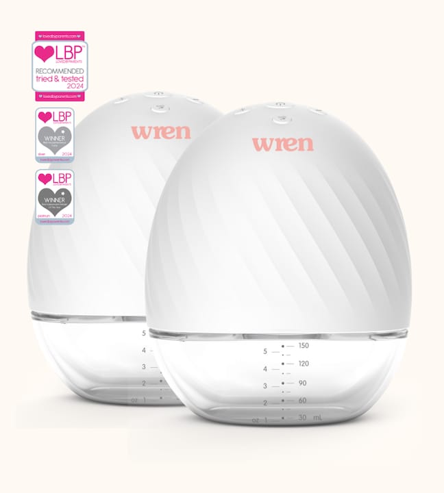 Hands-Free Double Electric Breast Pumps