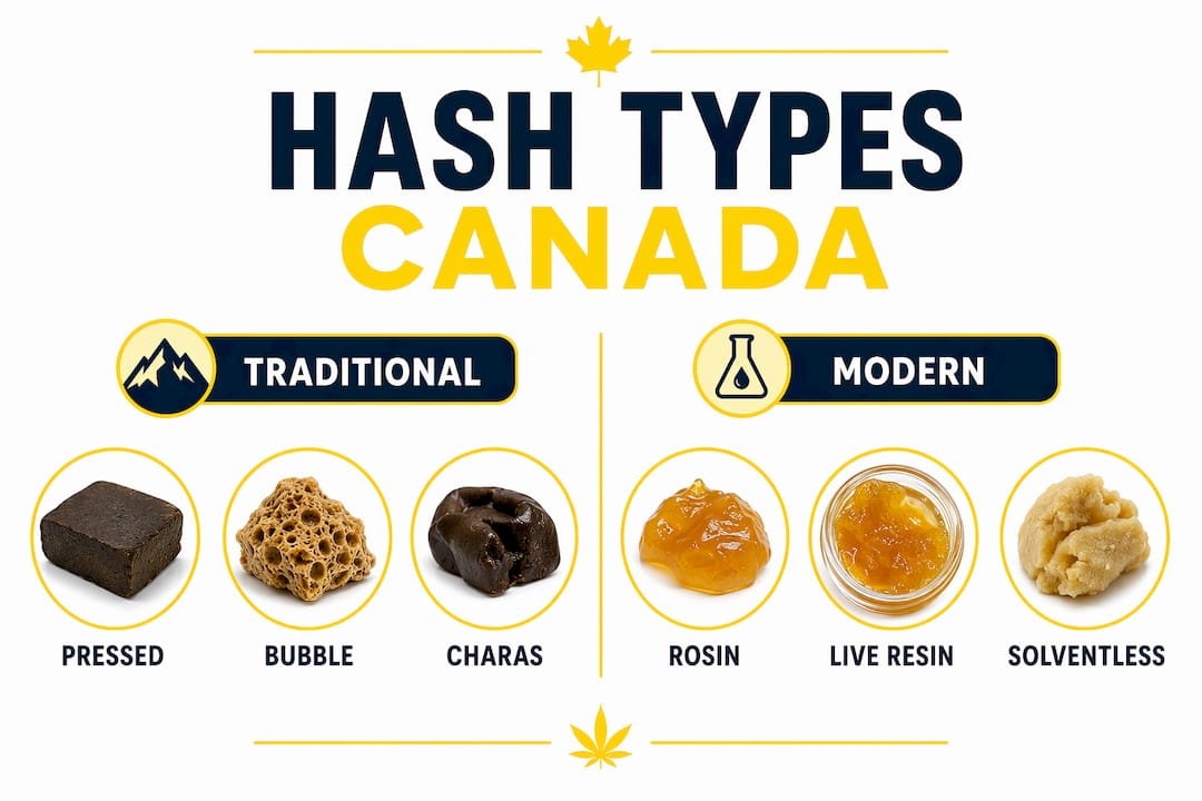 Infographic comparing traditional and modern hash types in Canada