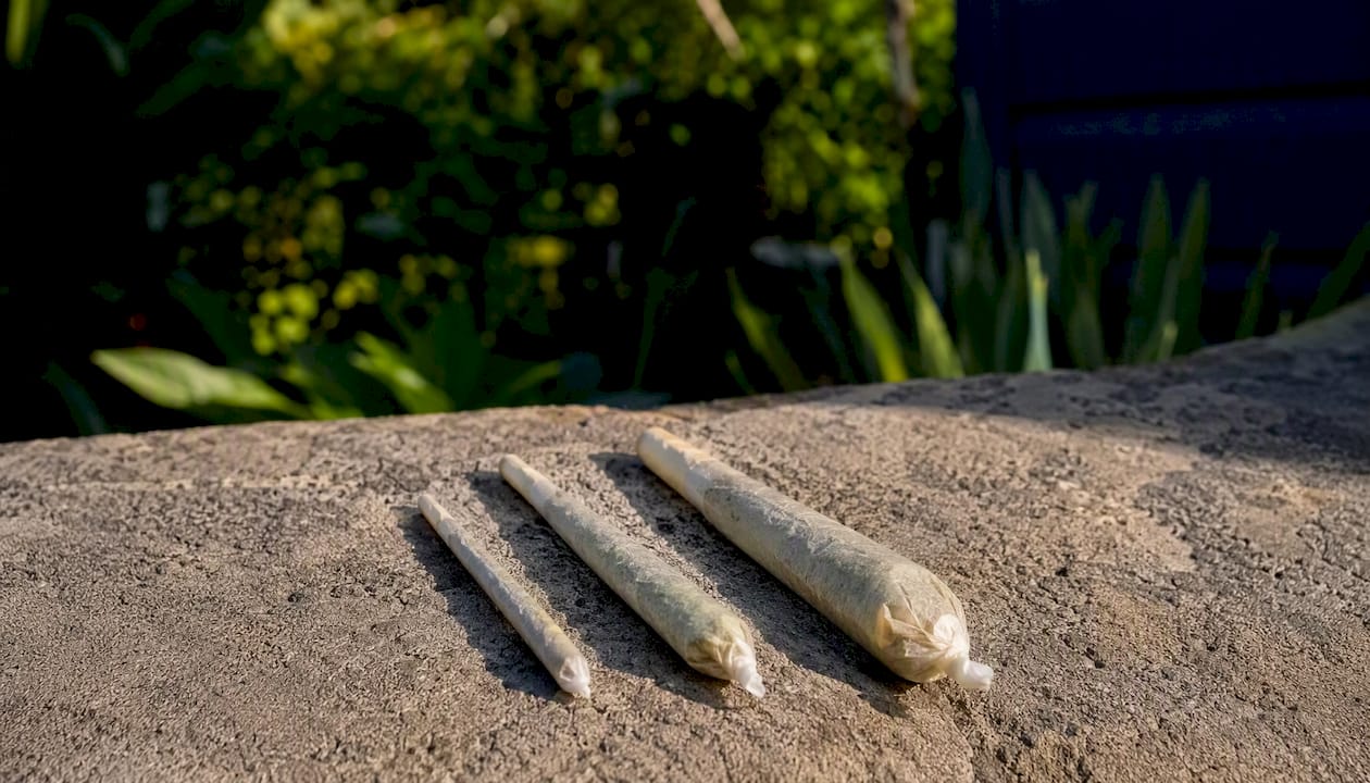 Comparison of three cannabis joint sizes