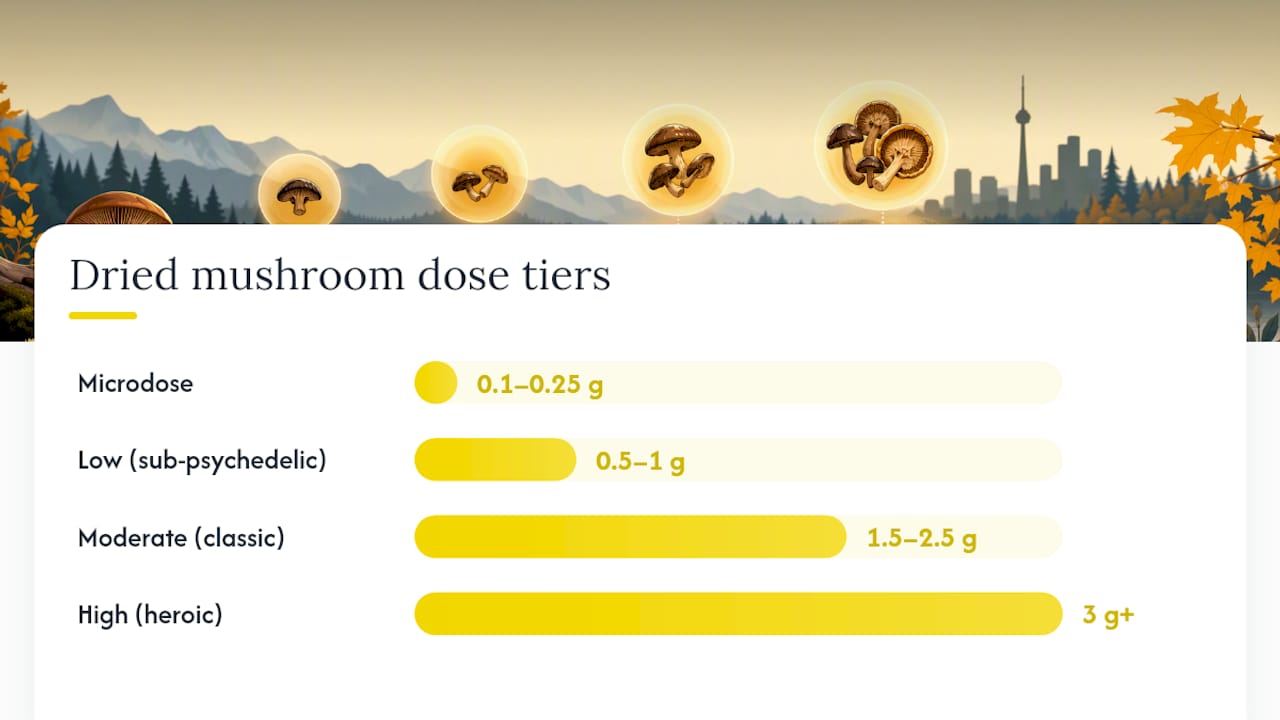 What mushroom chocolate dosage terms actually mean — overview diagram