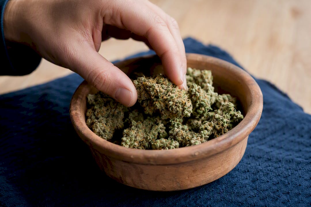 Hand picking bright cannabis bud in bowl