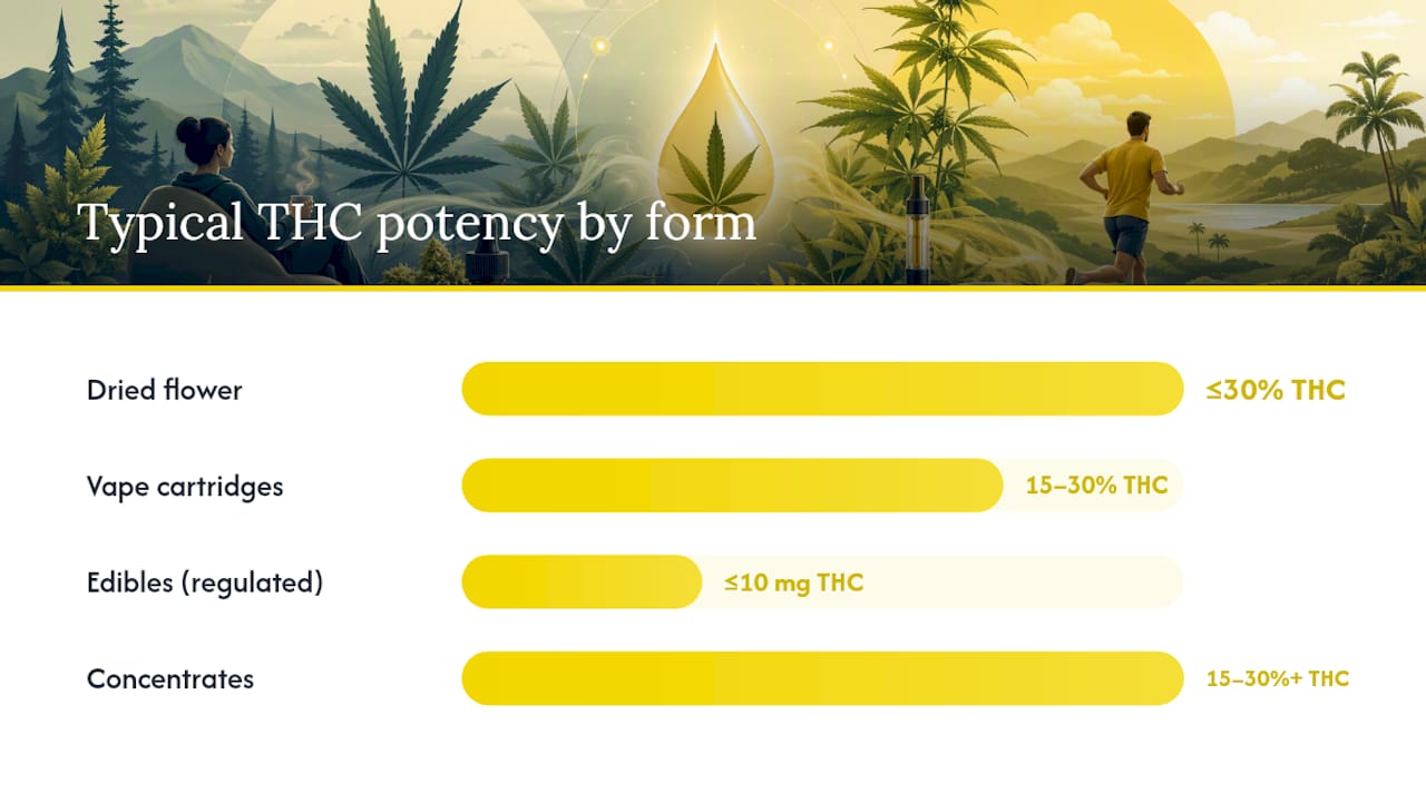 Graphic comparing THC ranges and onset times by cannabis product form