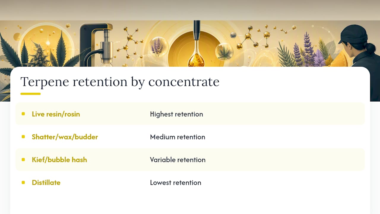 Why Concentrate Types Smell and Taste So Different — overview diagram