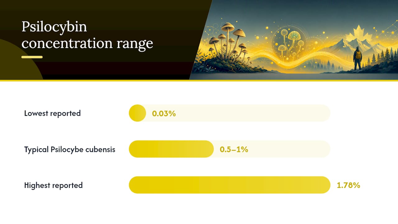 Psilocybin concentration range by mushroom sample