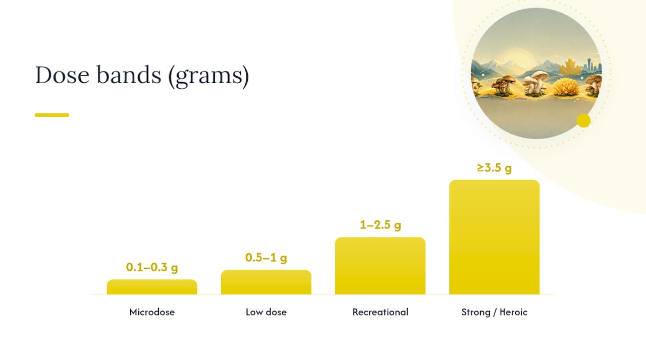Potency, Dosing, and Why Strain Names Are a Poor Guide — overview diagram