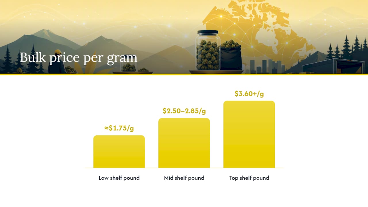 How Much Does Bulk Weed Cost Per Gram, Ounce, And Pound? — overview diagram