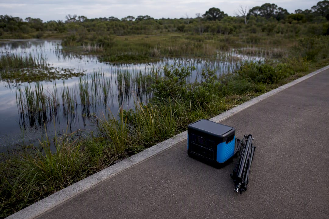 Protected wetland beside filming access path