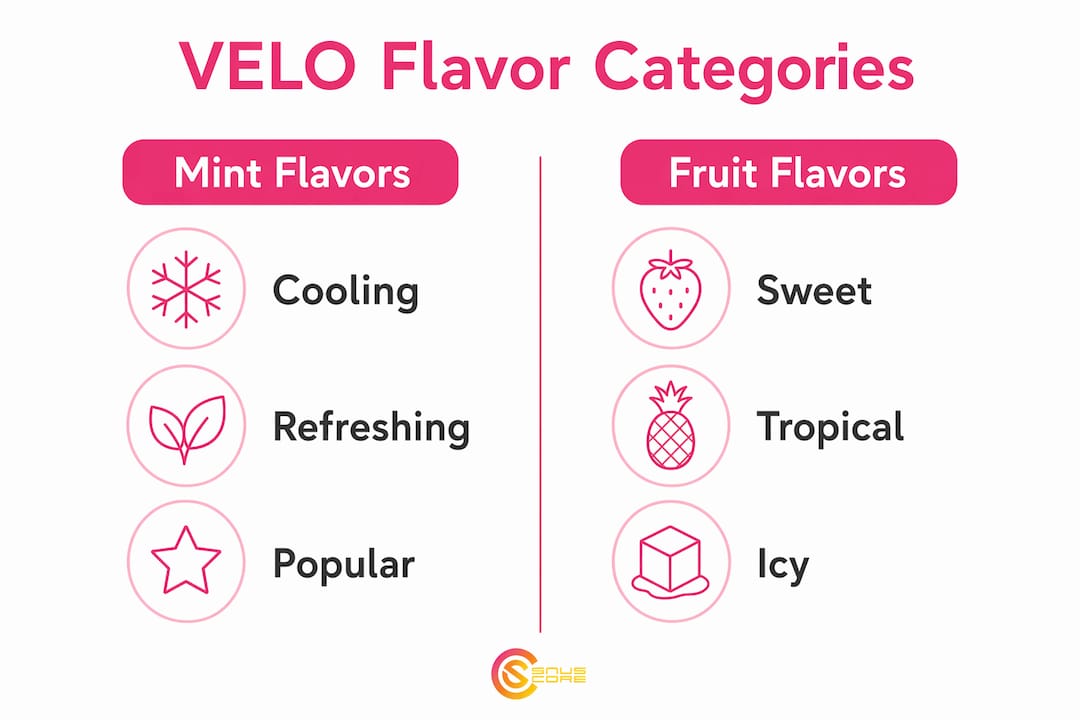 Infographic comparing mint and fruit VELO flavors with key traits