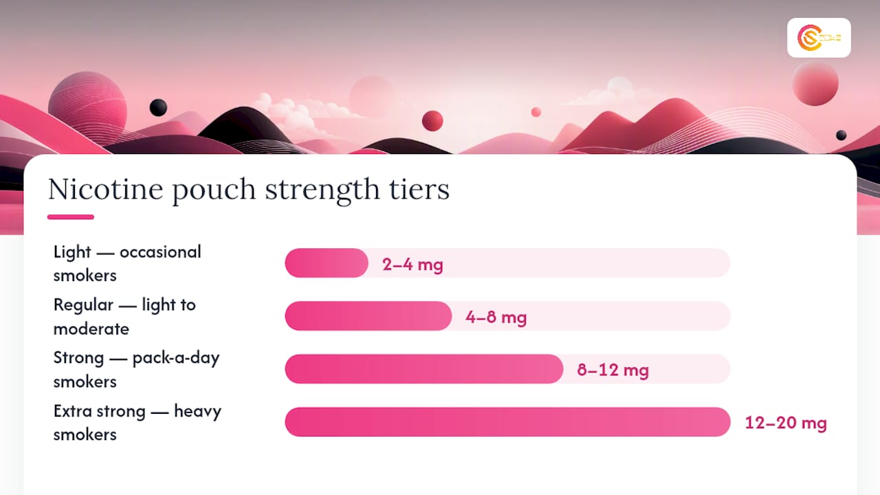 Diagram of nicotine pouch strength tiers and user groups
