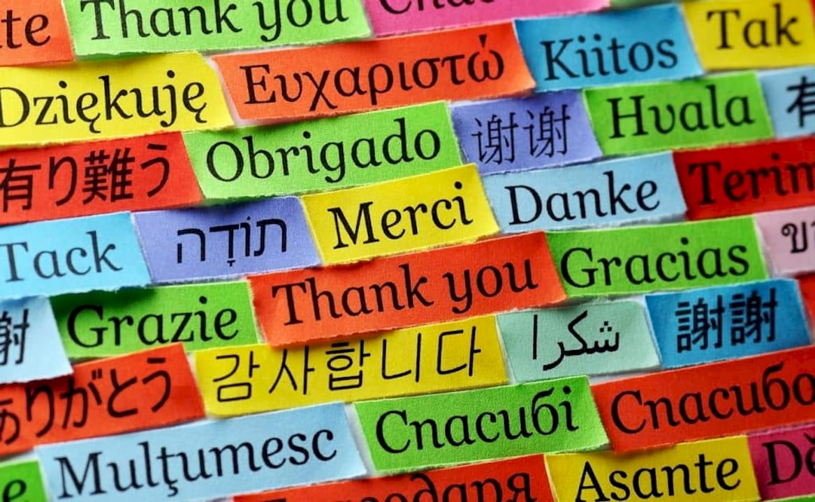 Top 6 Quizlet Alternatives for Vocabulary Learning 2026