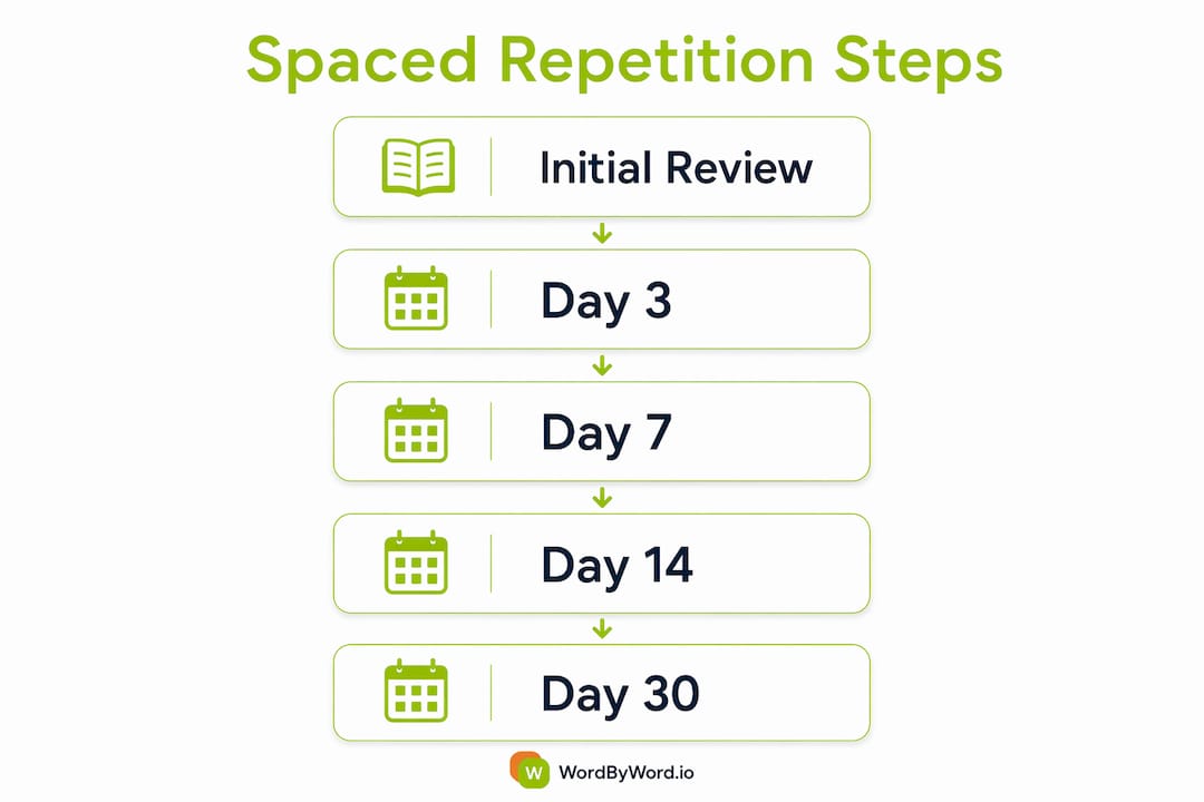 Infographic illustrating spaced repetition review schedule steps