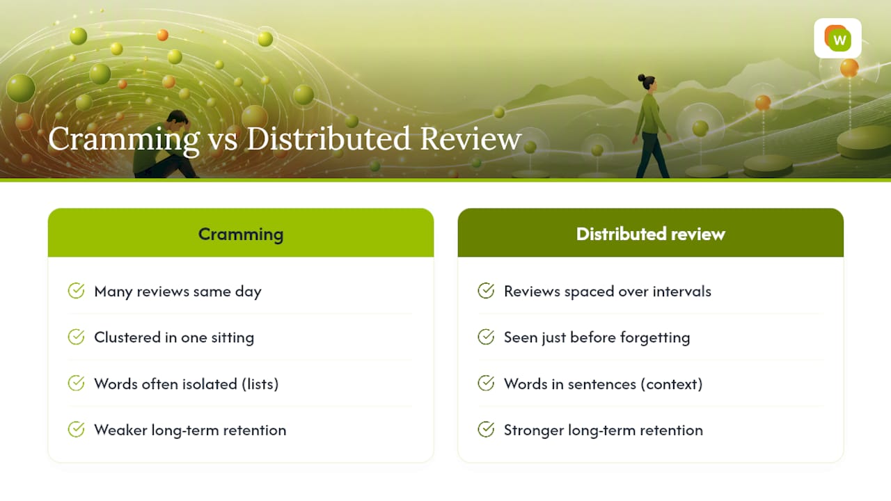 Cramming versus spaced repetition timelines
