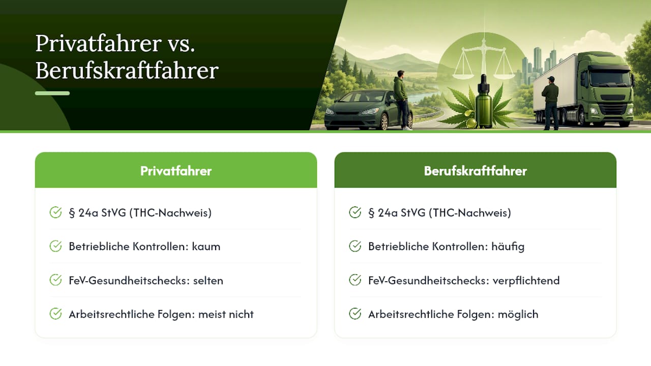 Vergleich der Auswirkungen auf Privat- und Berufskraftfahrer