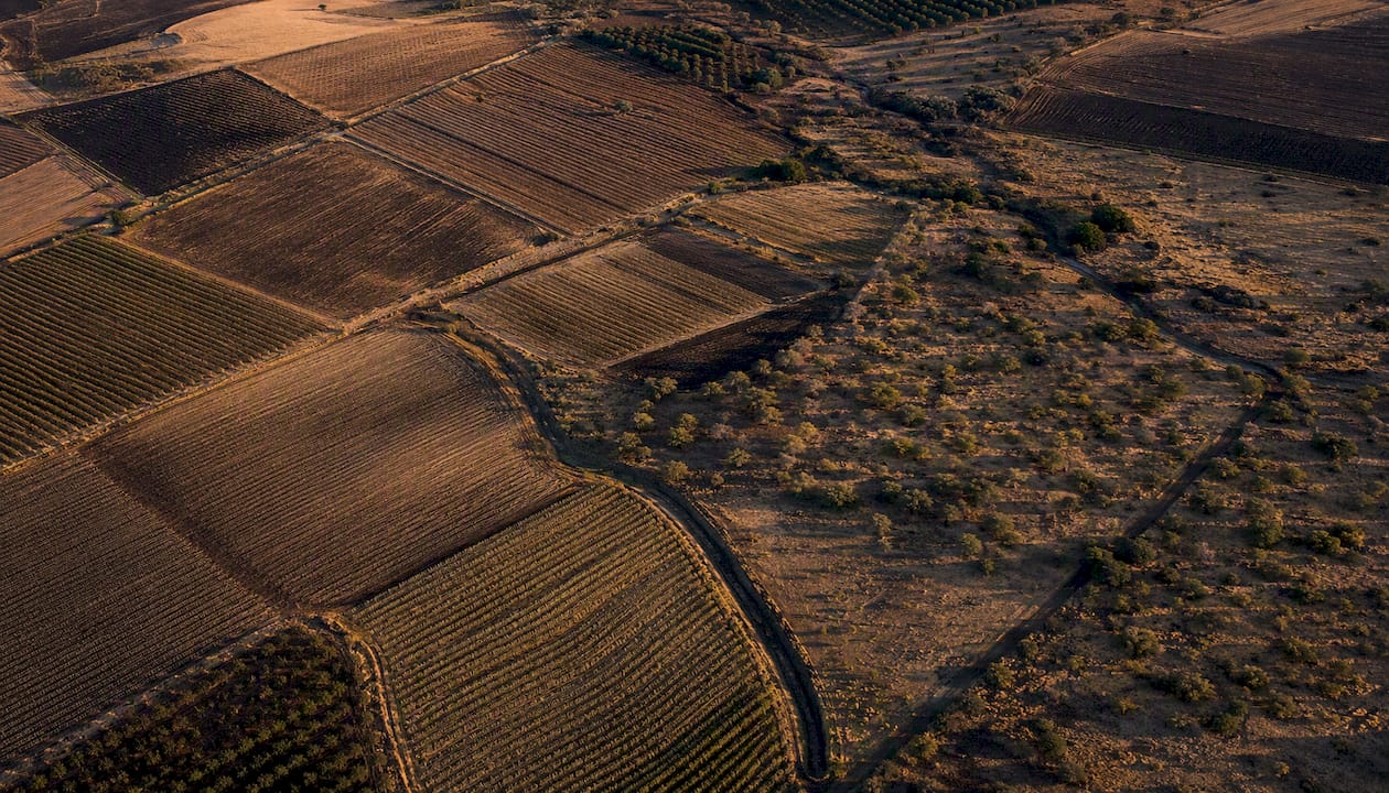 Fotografía aérea que captura patrones geométricos abstractos en el paisaje