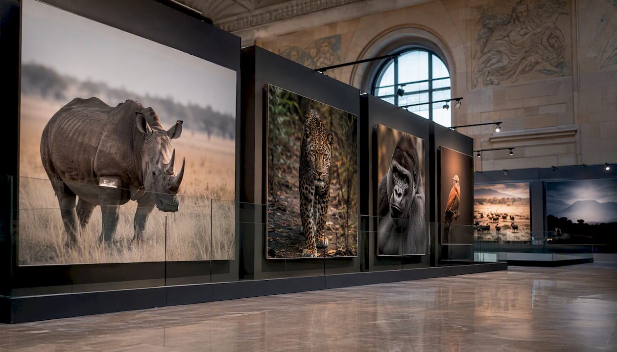 Wildlife photo exhibition at natural history museum