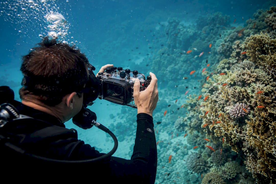 Underwater photographer capturing coral reef scene