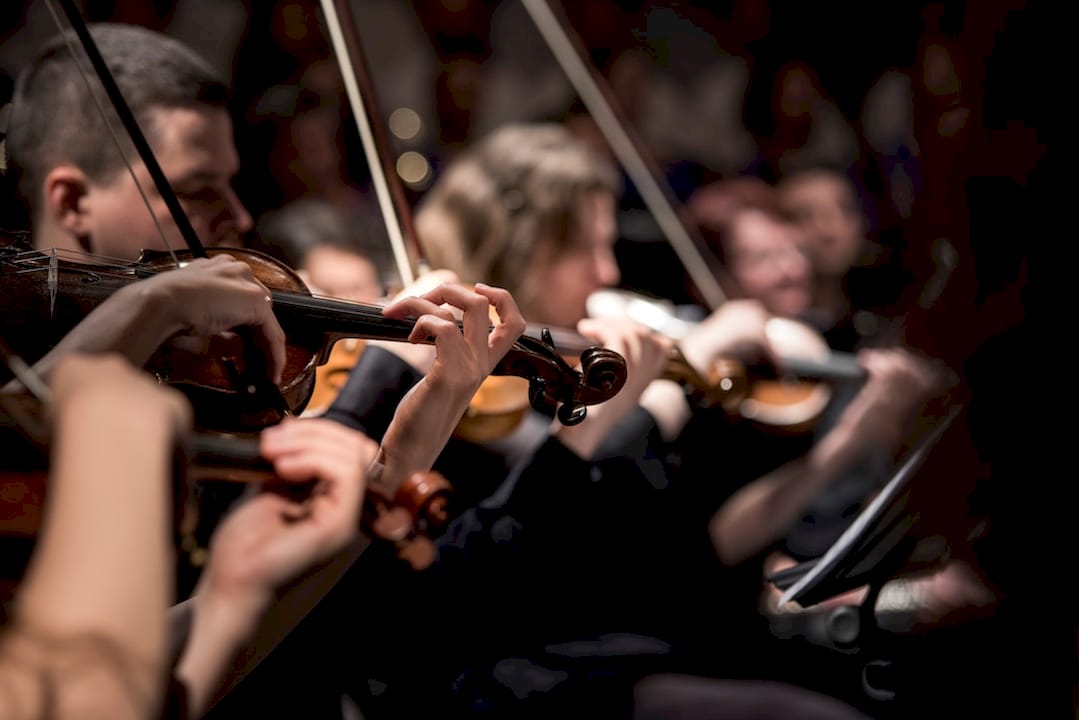 people playing violin inside dim room