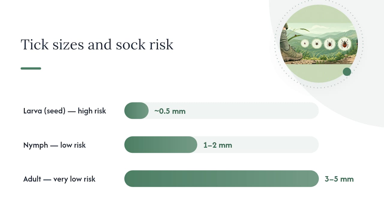 Diagram comparing tick life stage sizes and fabric penetration ability