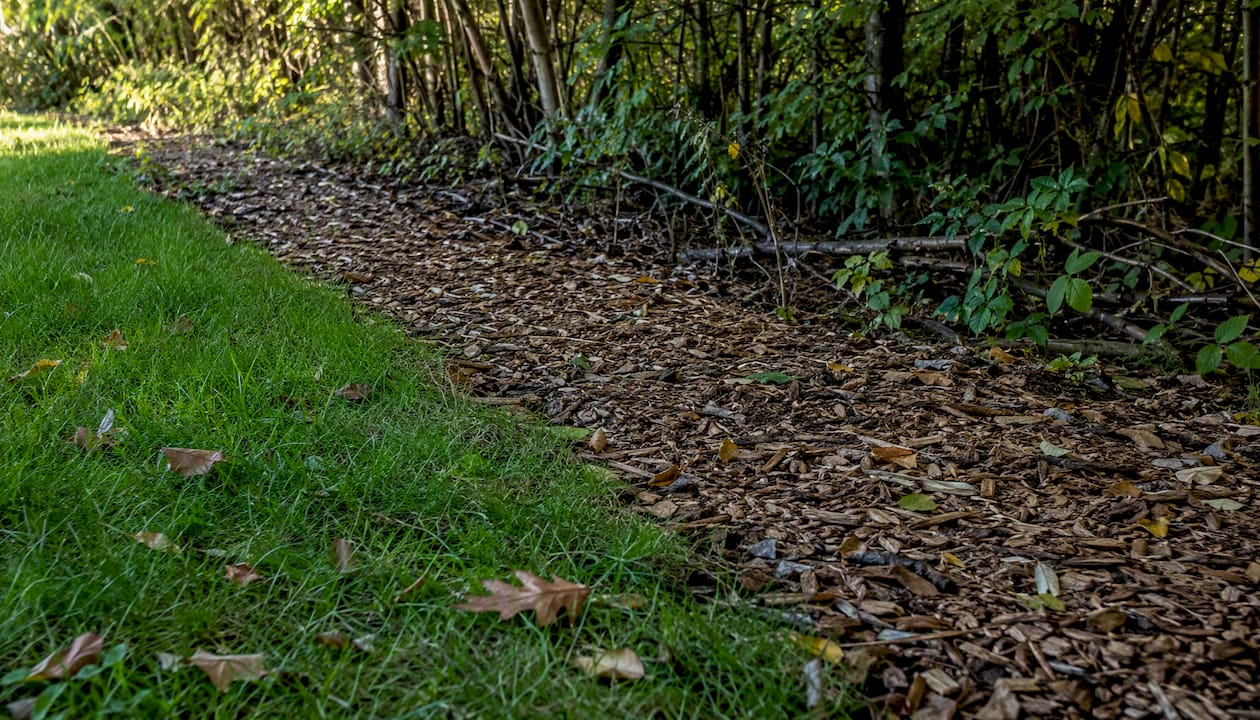 Wood chip barrier between yard and woods