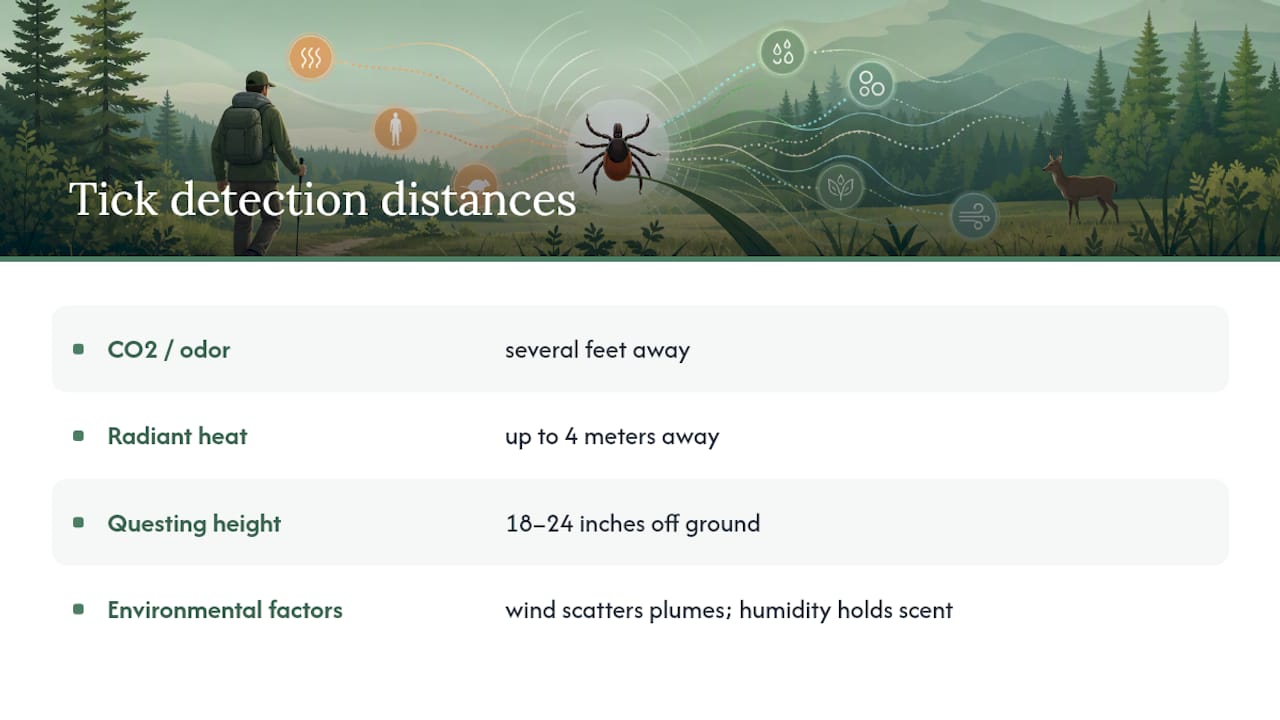 How Far Away Can a Tick Actually Detect You? â overview diagram