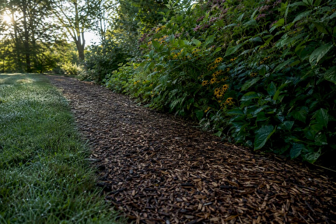 Wood chip barrier between lawn and shrub border