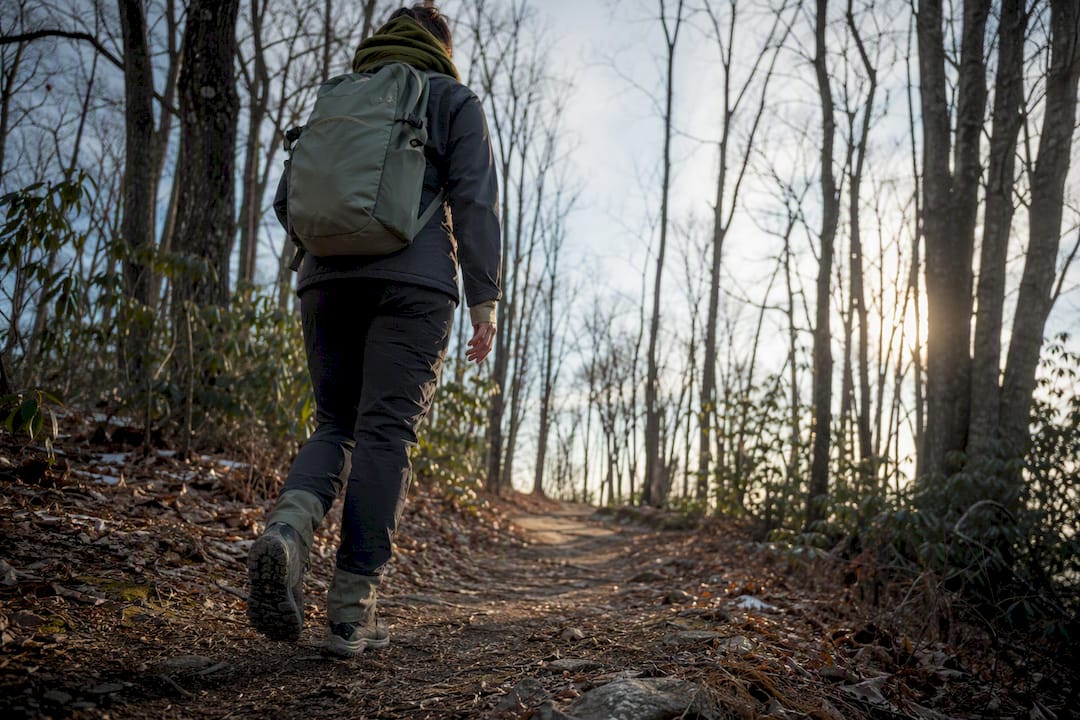 Hiker on winter trail beside leaf litter