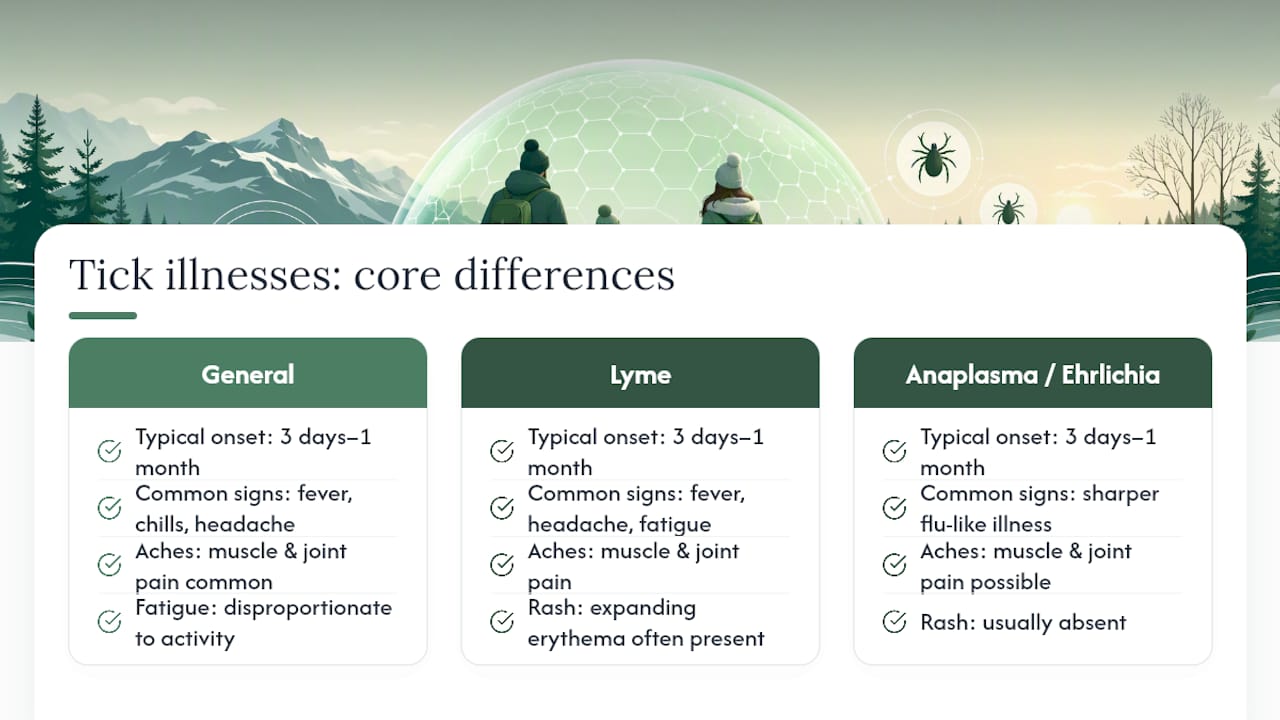 Symptoms of Tick-Borne Illness to Watch for in Winter â overview diagram