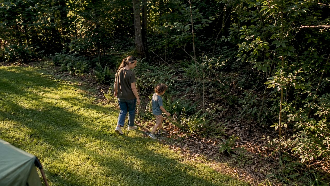 Family walking beside brushy woodland edge