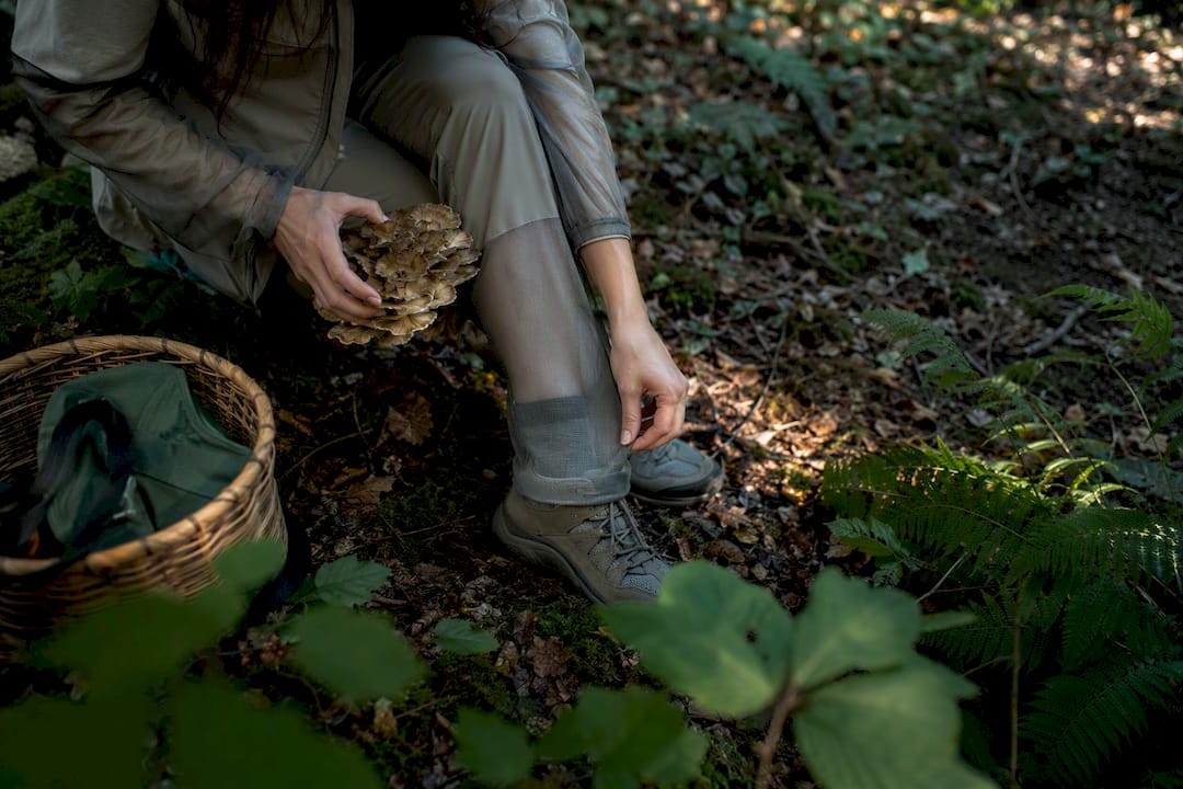 Forager inspecting mushrooms in tick country