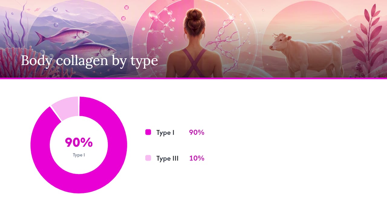 Type I and Type III collagen comparison