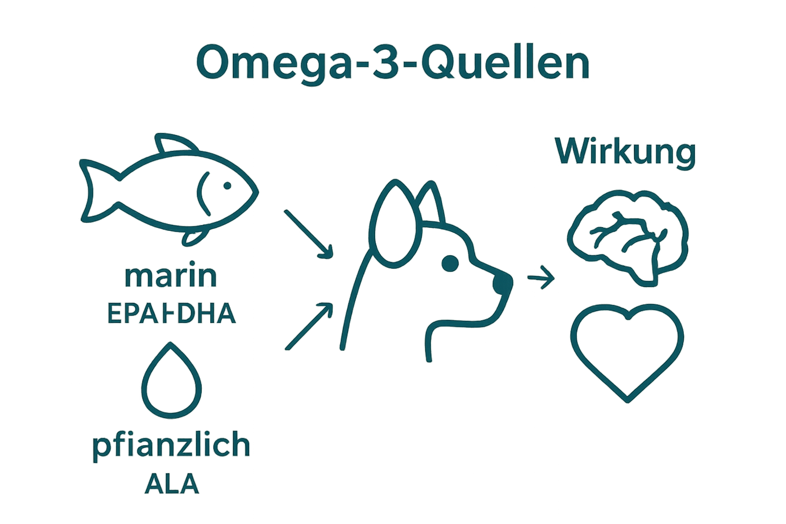 Vergleich Fisch- und Pflanzenquellen von Omega-3