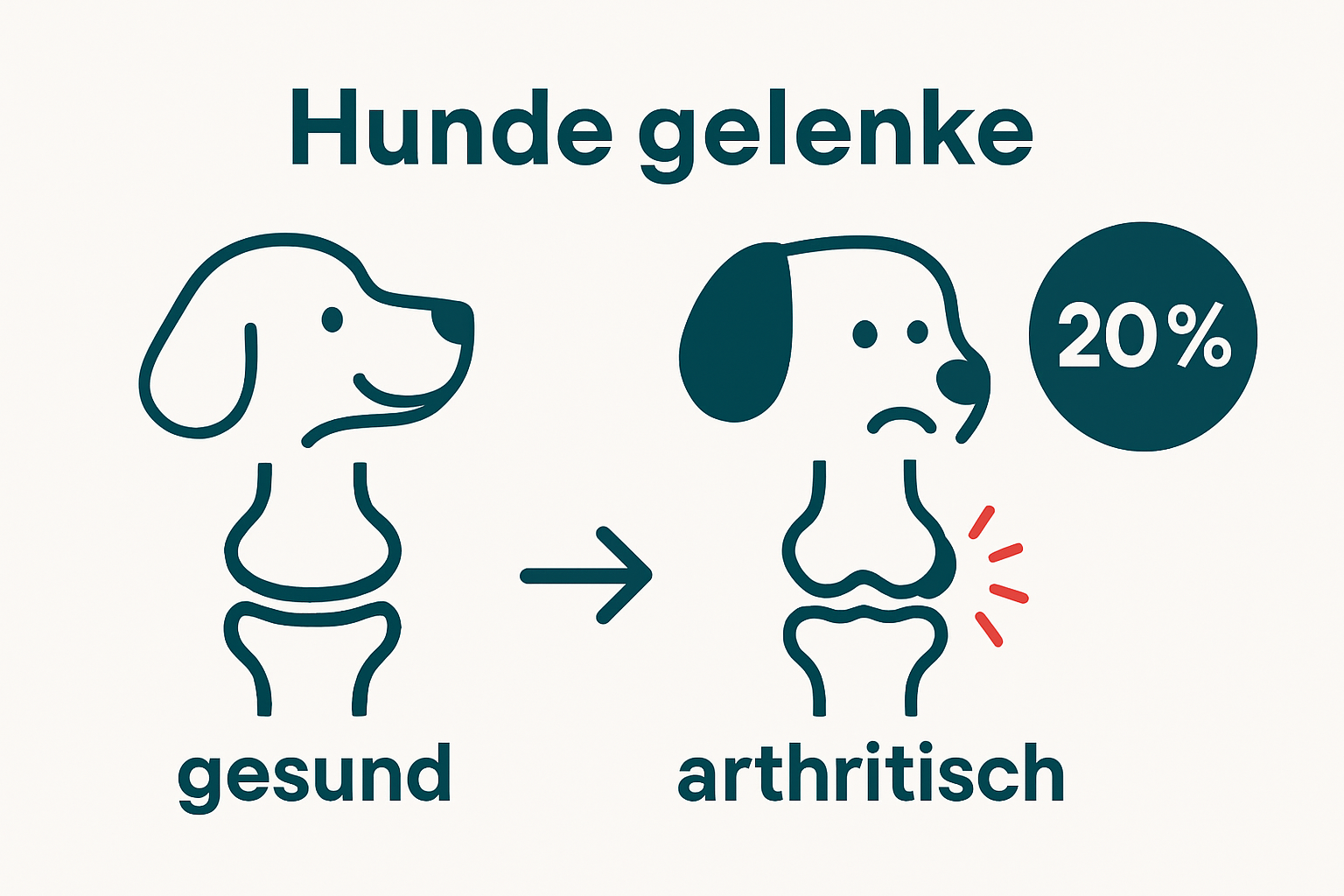 Vergleich eines gesunden und eines arthritischen Hundegelenks mit Prävalenz-Statistik.