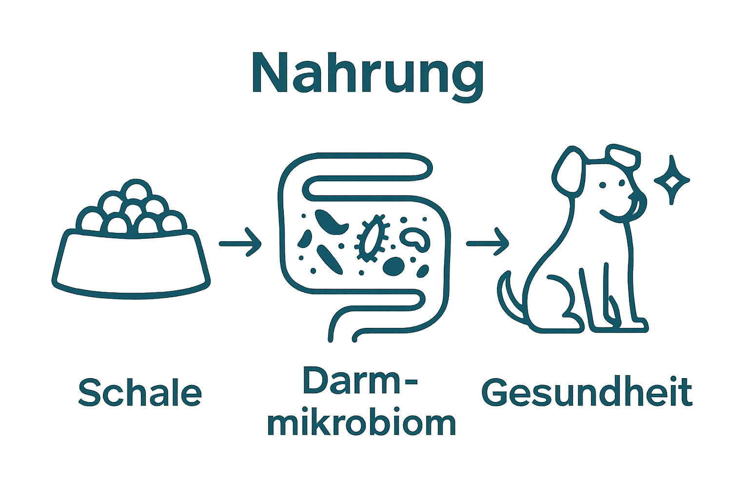 Nährstoffzufuhr, Mikrobiom und Hundegesundheit als Icons