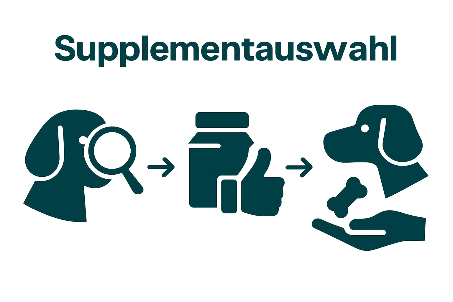 Drei Symbole zeigen in Reihenfolge Beobachtung, Supplementauswahl und Verabreichung beim Hund