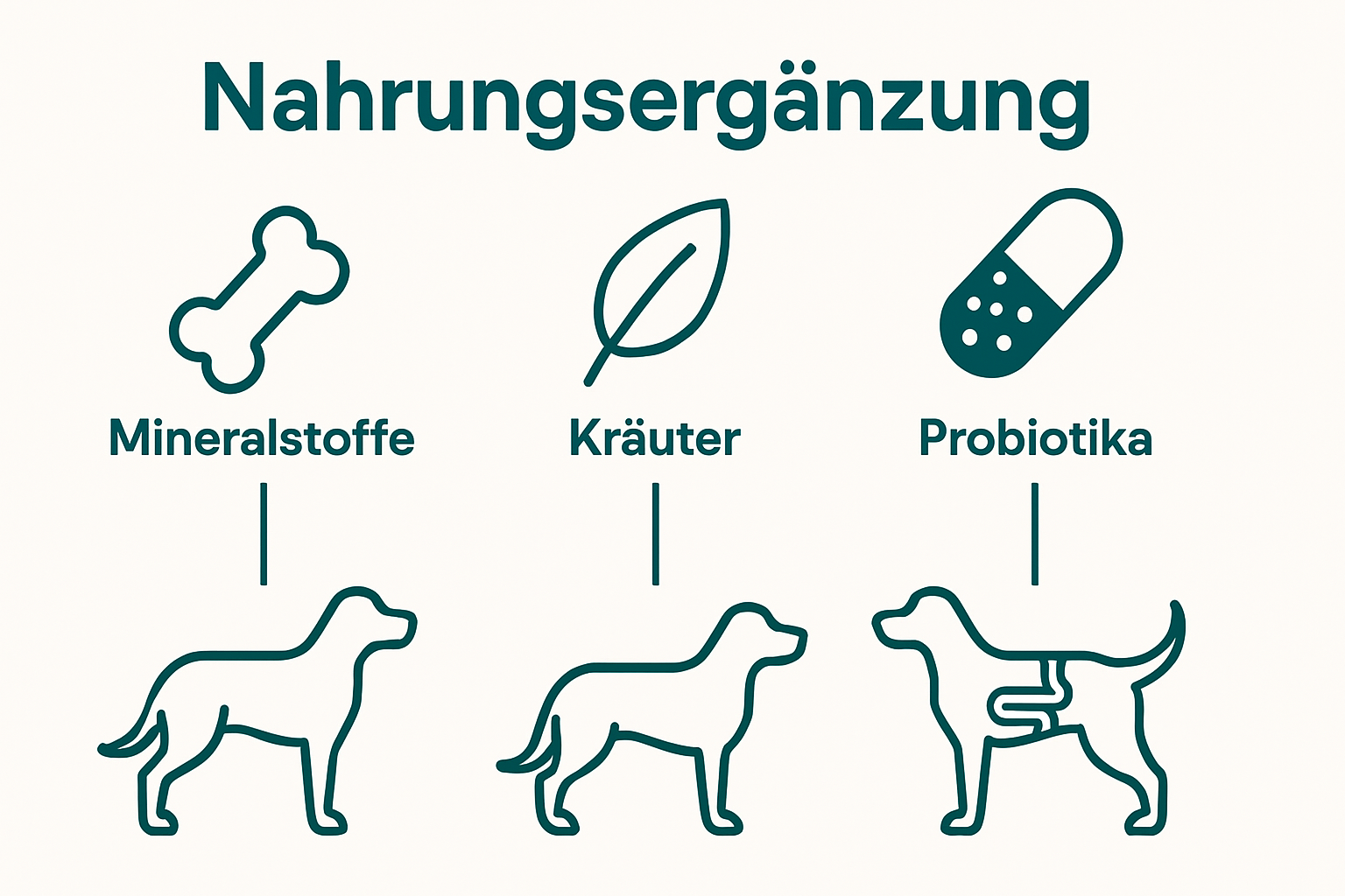 Infographic showing three supplement types and their health effects for dogs