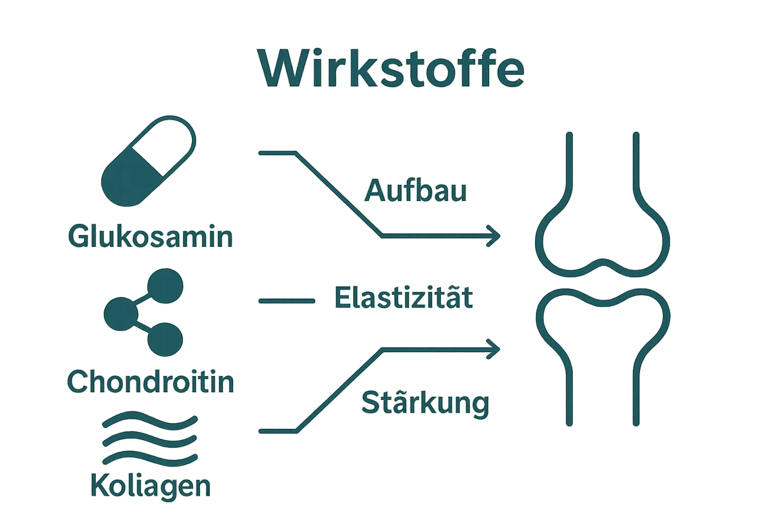 Infografik: Drei Hauptwirkstoffe für Hundegelenke mit Pfeilen zum Gelenksymbol