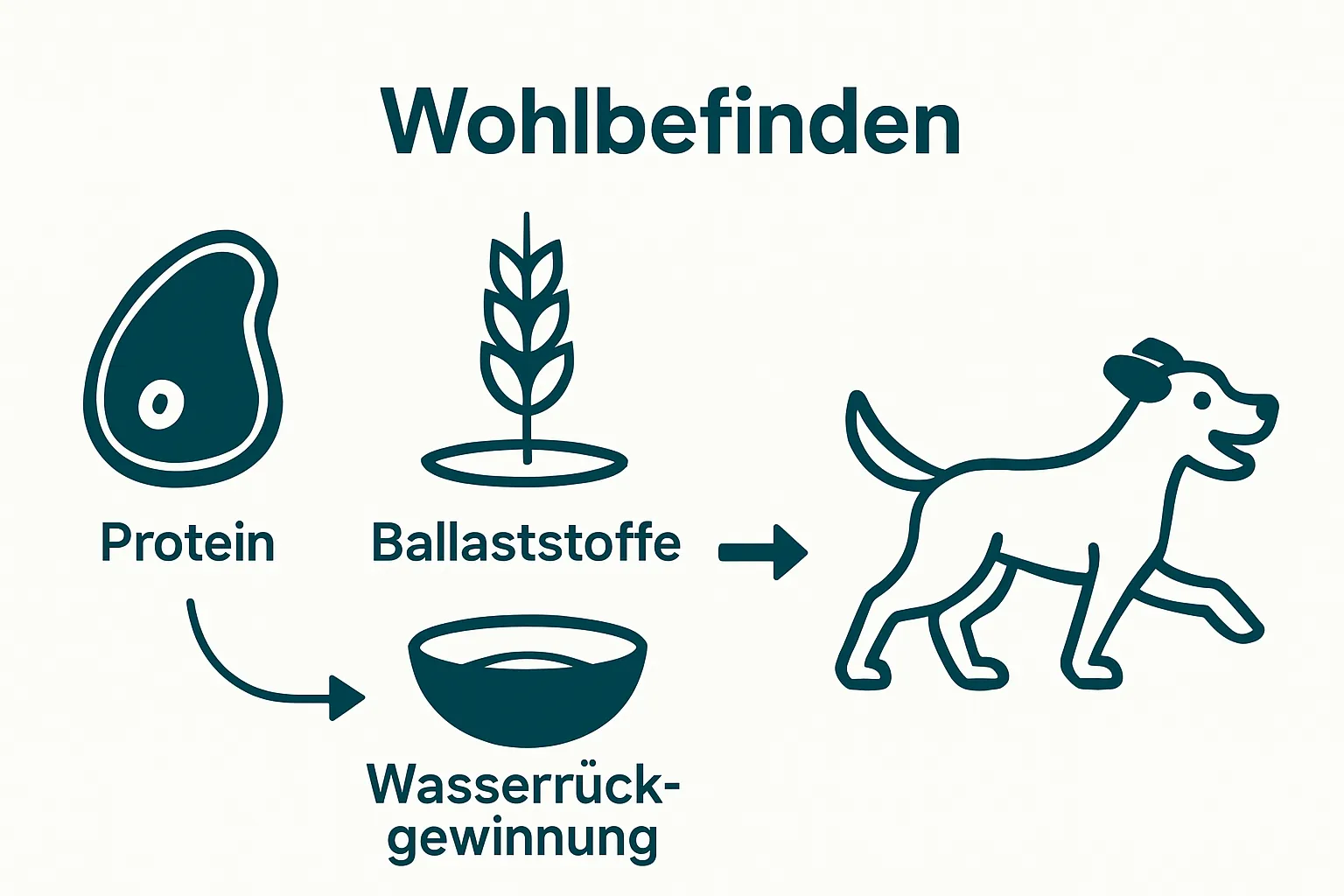 Simple infographic showing protein, fiber, and water leading to healthy dog