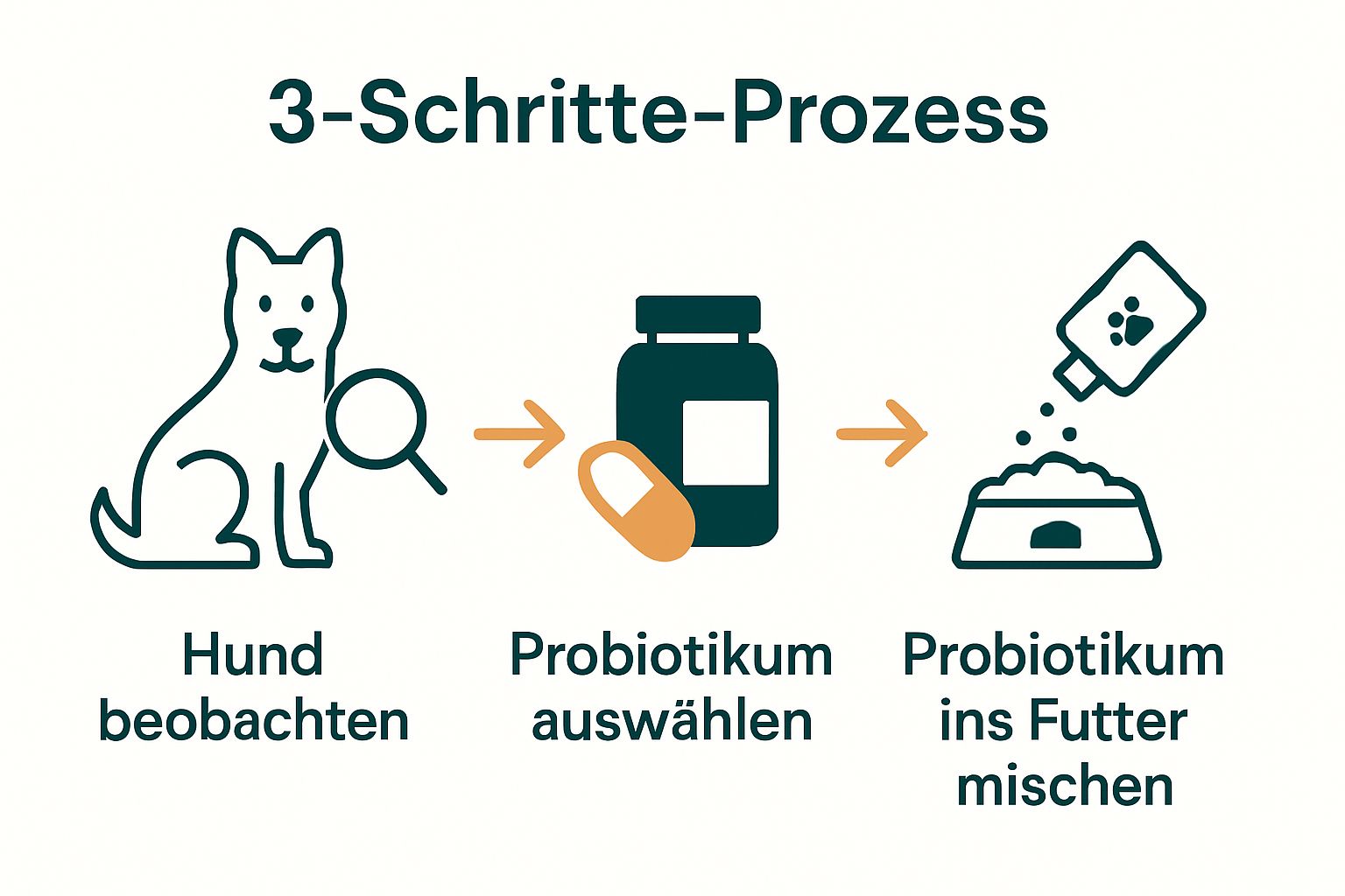 Drei Schritt Anleitung Probiotika Hund als simple Icons