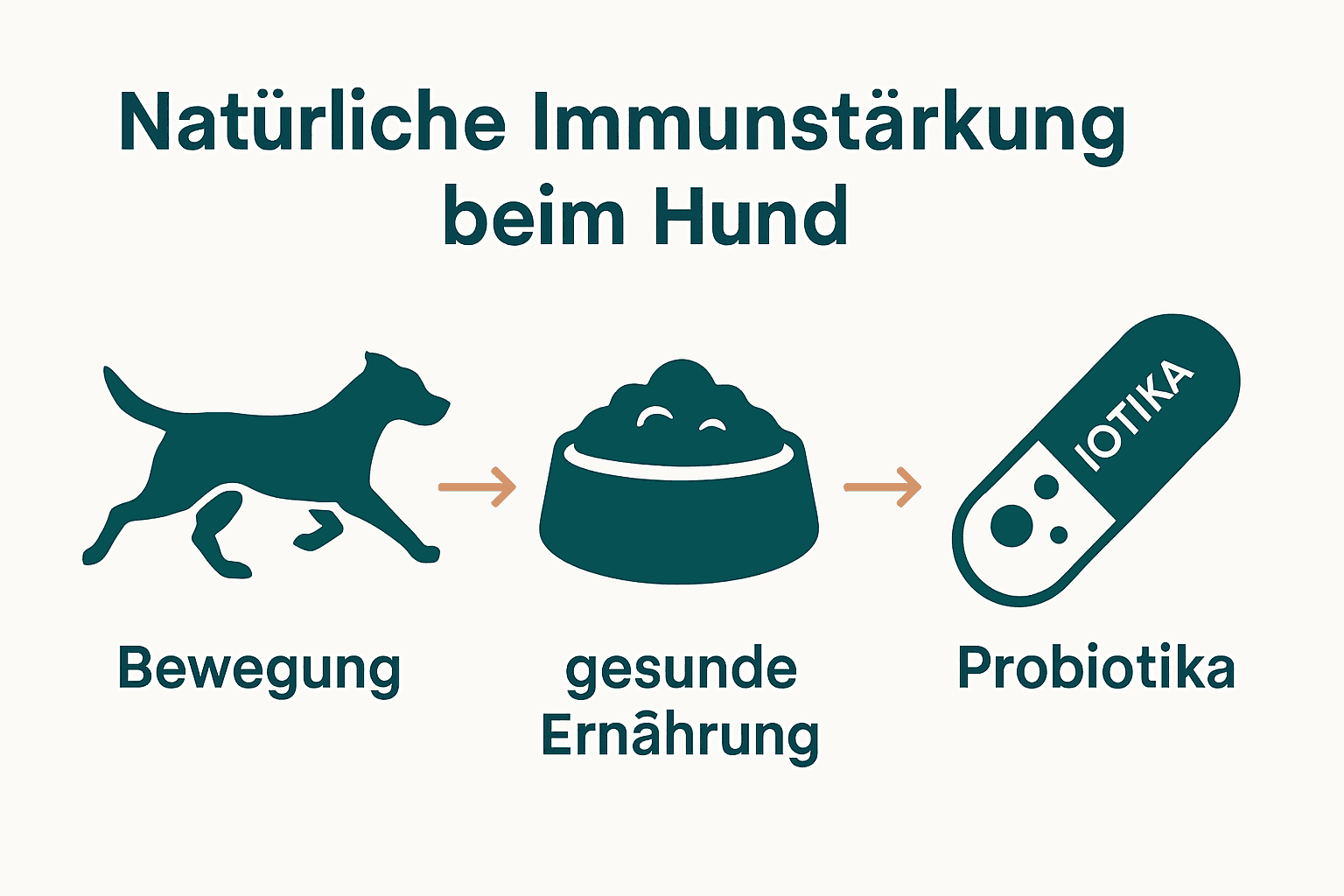 Infografik mit Icons für Bewegung, Ernährung und Probiotika beim Hund