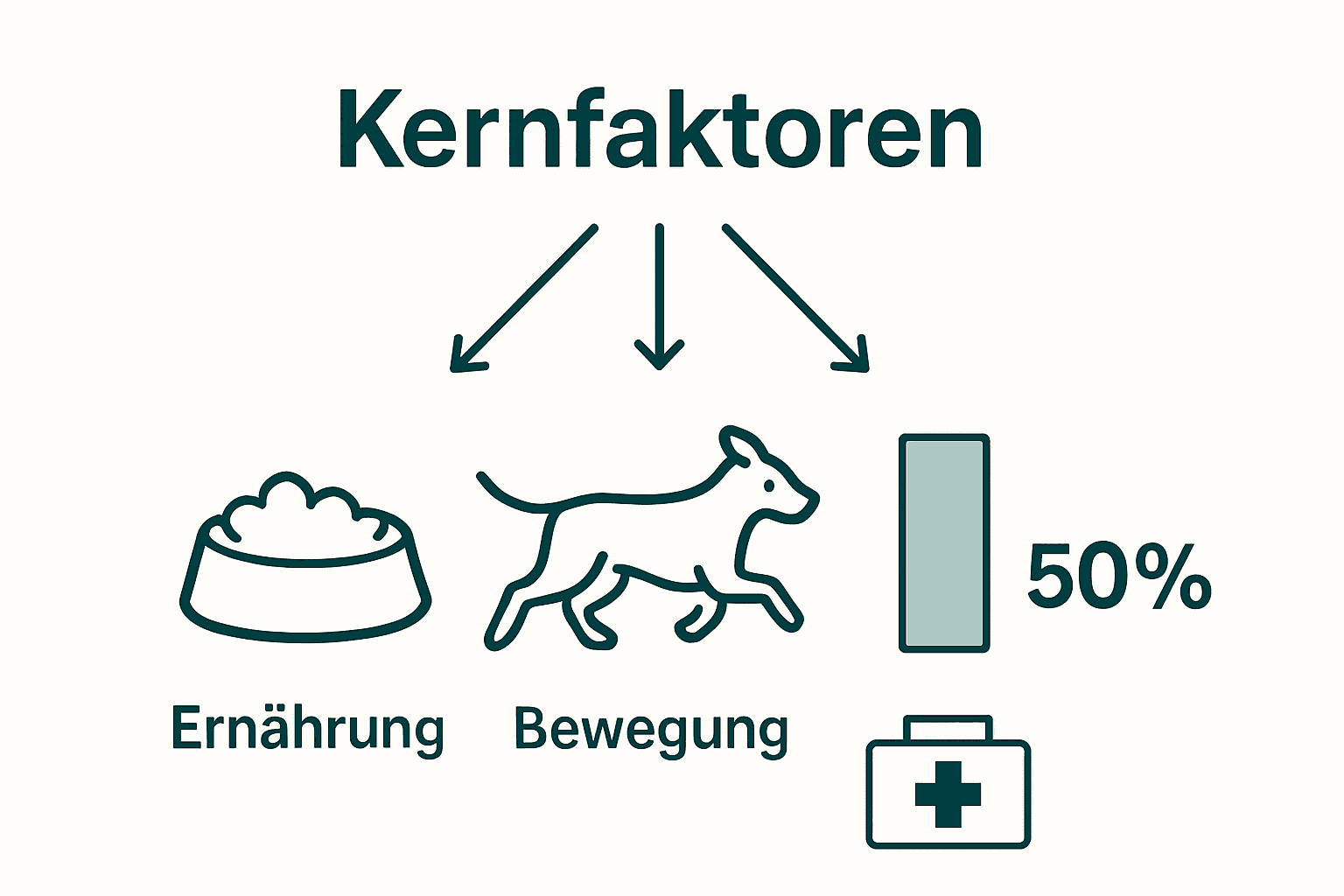Infografik zu Hauptfaktoren der Hundegesundheit