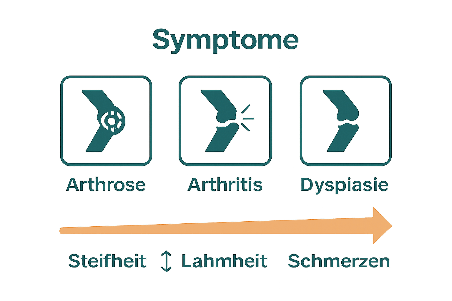 Vergleich der häufigsten Gelenkprobleme bei Hunden