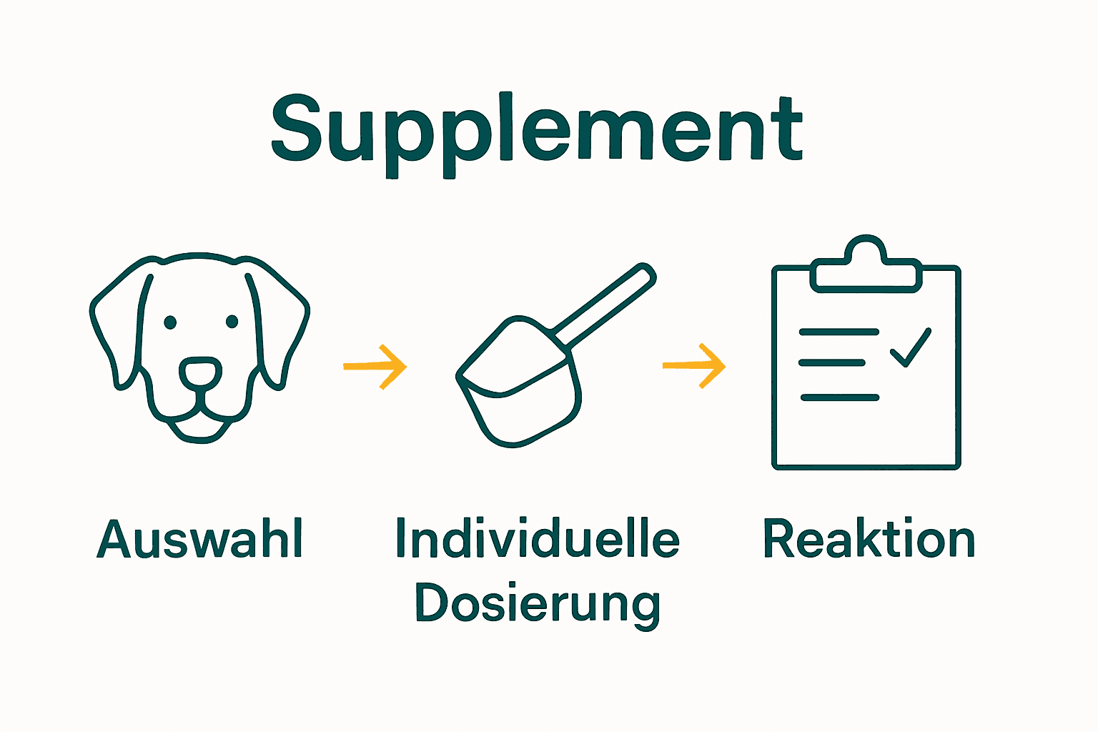 Infografik Prozess Hundesupplements: Auswahl, Dosierung, Kontrolle