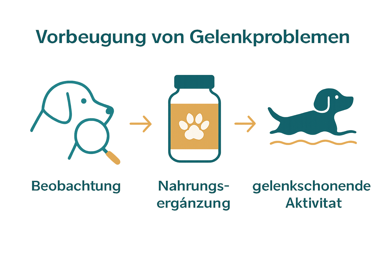 Infografik mit drei Piktogrammen zu Bewegungsanalyse, Nahrungsergänzung und gelenkschonender Aktivität bei Hunden.