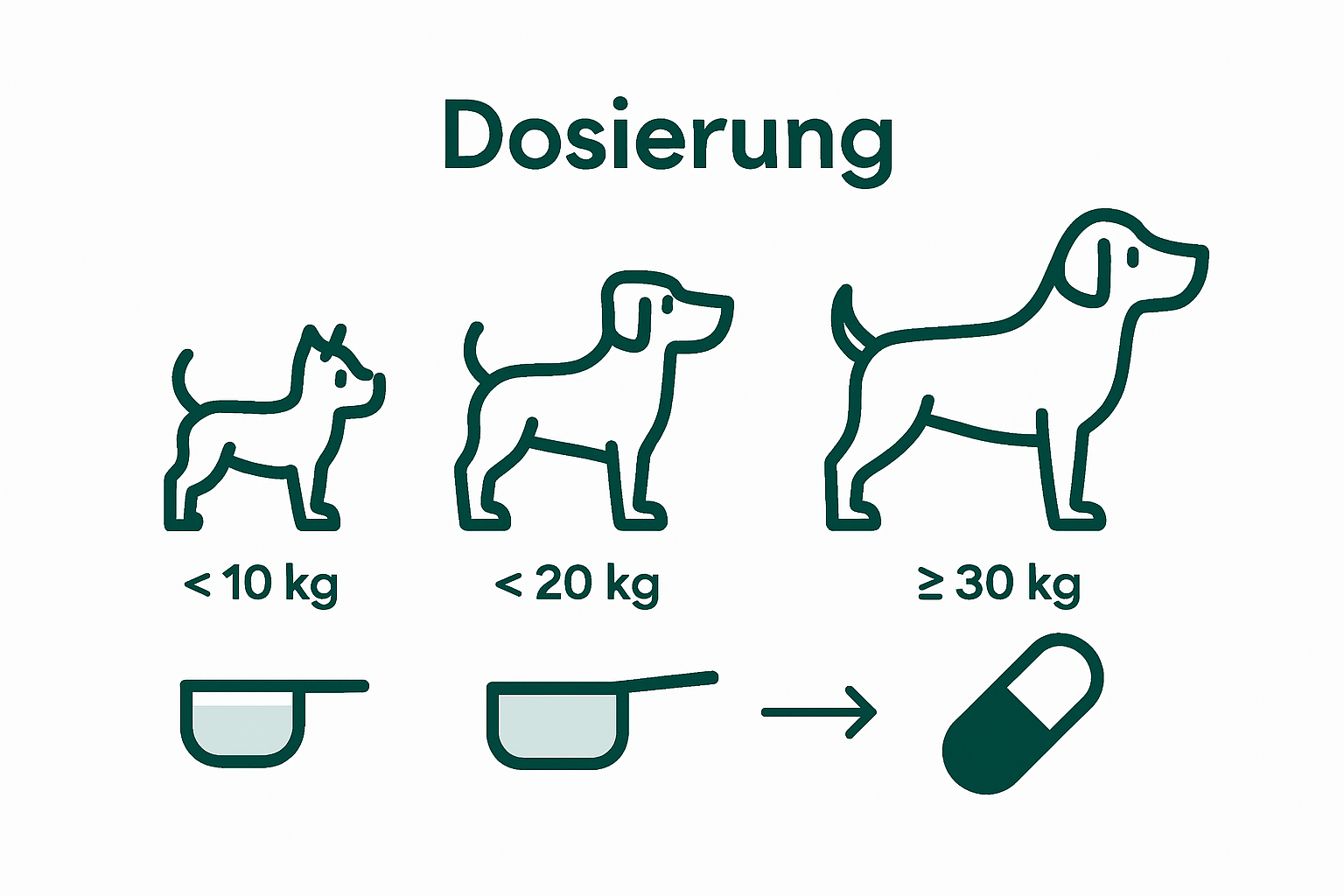 Infografik: Die richtige Dosierung je nach Hundegröße