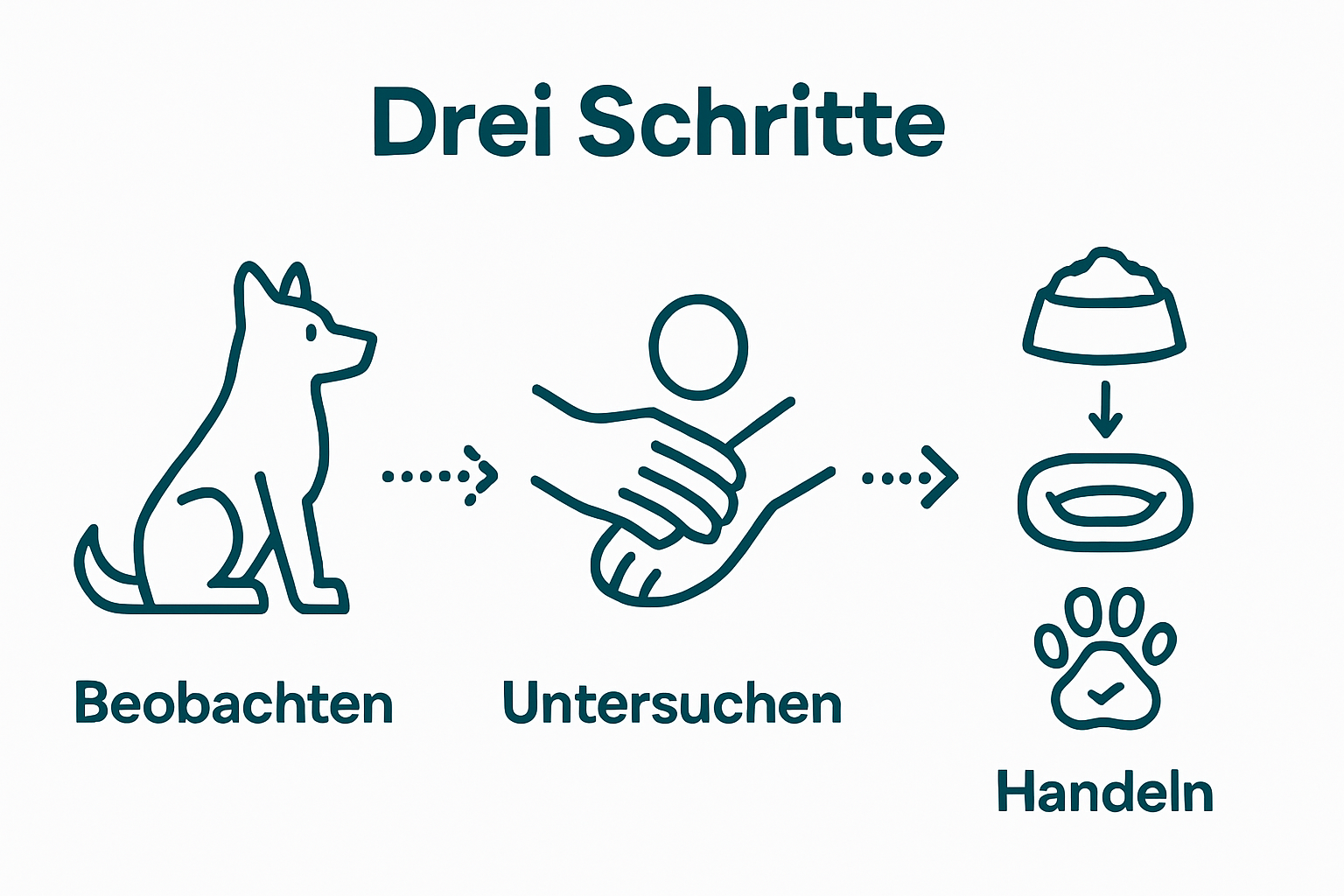 Die Infografik zeigt, wie Sie in drei einfachen Schritten die Gelenkgesundheit Ihres Hundes unterstützen können.