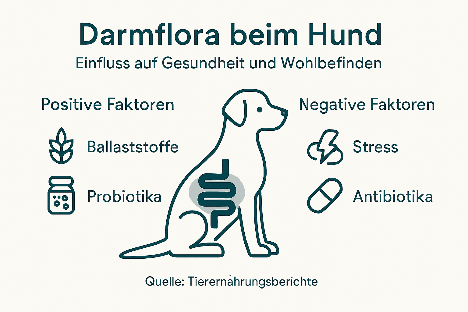Infografik: Die Darmflora des Hundes und ihre Bedeutung für die Gesundheit