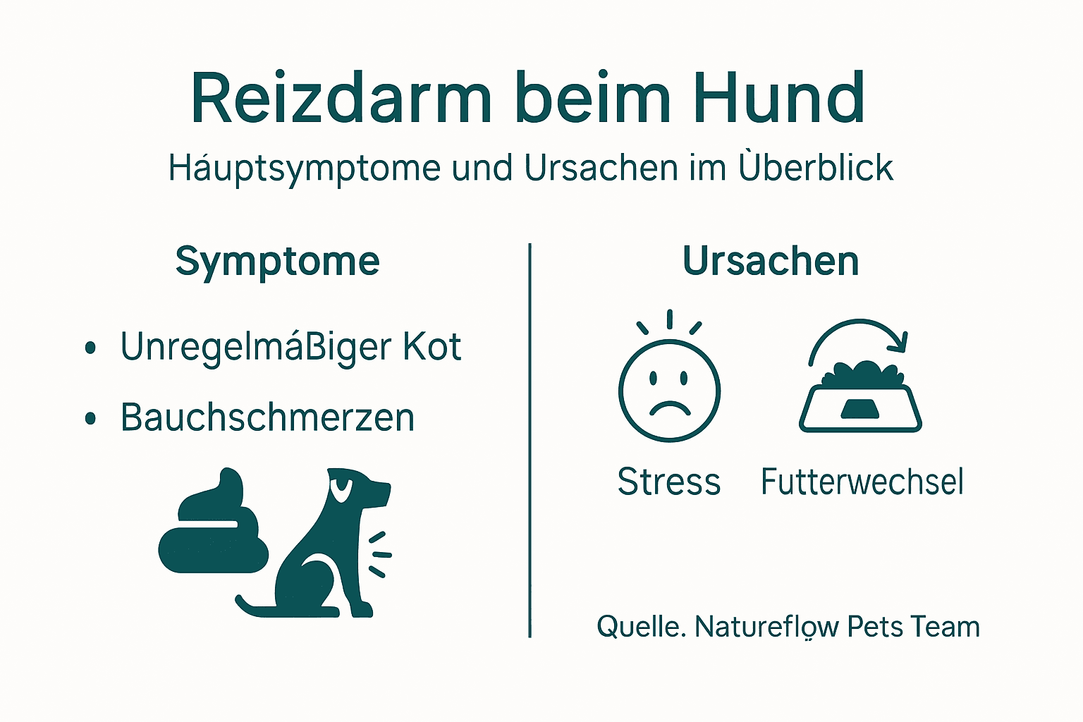Übersicht: Typische Anzeichen und mögliche Auslöser für das Reizdarmsyndrom beim Hund