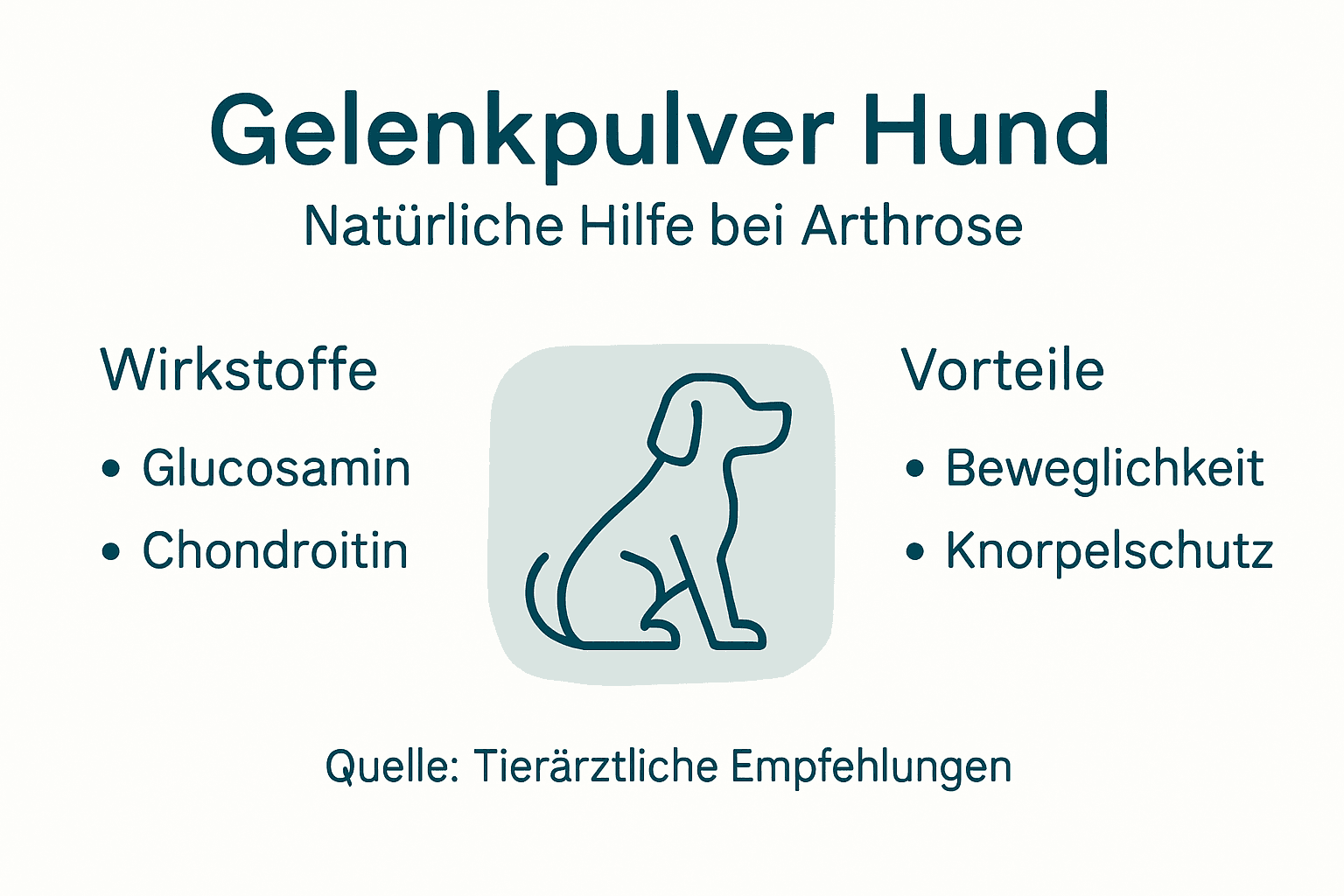 Übersicht: Inhaltsstoffe und Vorteile von Gelenkpulver auf einen Blick