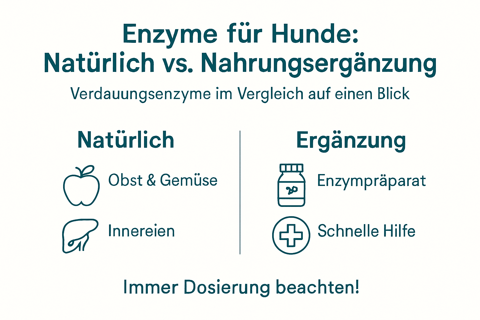 Infografik: Enzyme aus natürlichen Quellen und Nahrungsergänzung